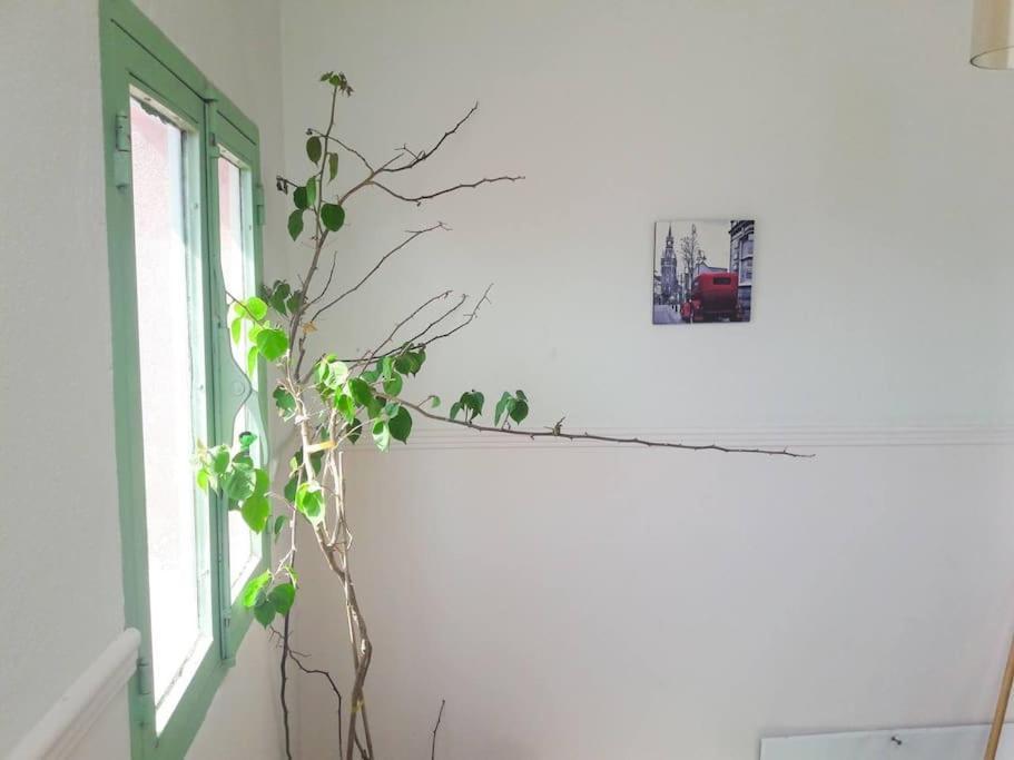 Spacious Apartment In Old Town - Private Parking Солун Екстериор снимка